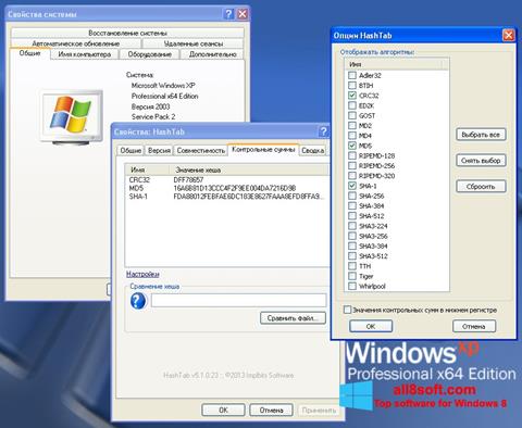 Screenshot HashTab Windows 8