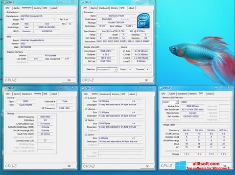 Screenshot CPU-Z Windows 8