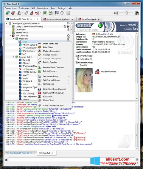 Screenshot TeamSpeak Windows 8