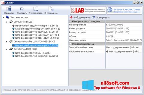 Screenshot R.saver Windows 8