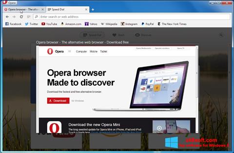 Screenshot Opera Developer Windows 8