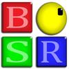 BSR Screen Recorder Windows 8