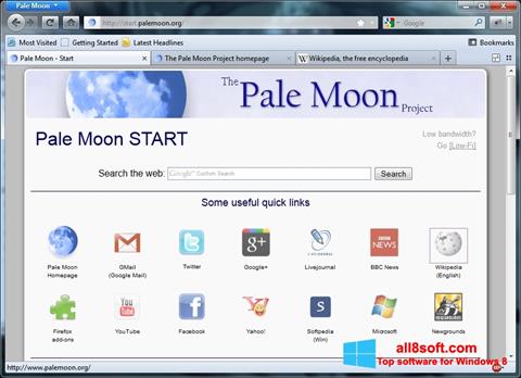 Screenshot Pale Moon Windows 8