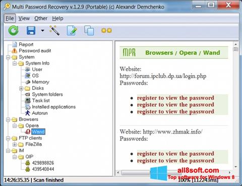 Screenshot Multi Password Recovery Windows 8