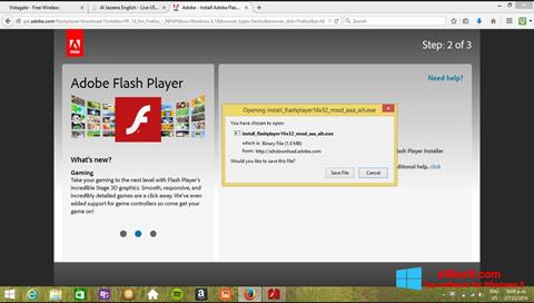 Screenshot Adobe Flash Player Windows 8