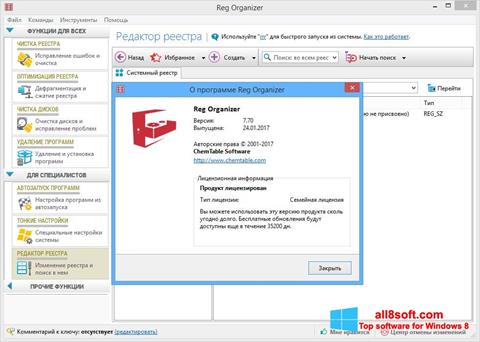 Screenshot Reg Organizer Windows 8