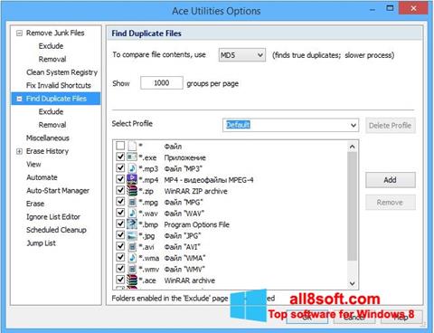 Screenshot Ace Utilities Windows 8