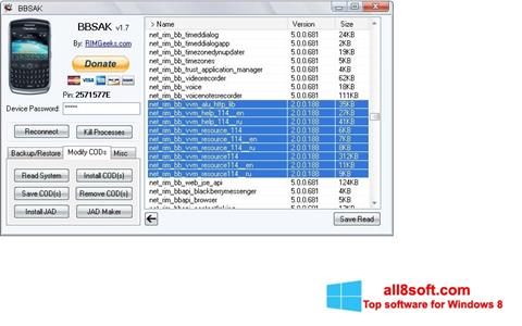 Screenshot BBSAK Windows 8