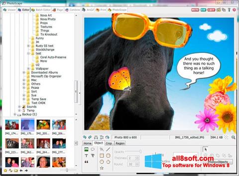 Screenshot PhotoScape Windows 8